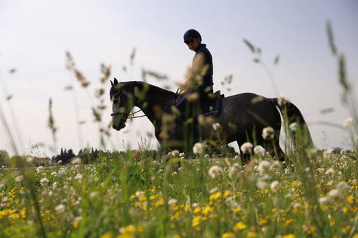 Quantité de nourriture pour un cheval