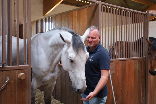 Compléments alimentaires pour cheval