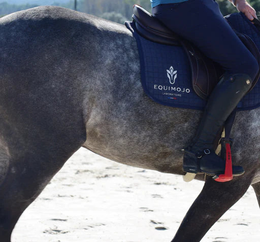 Vermifuger son cheval