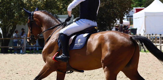 L'arthrose chez le cheval : comprendre et soulager cette pathologie