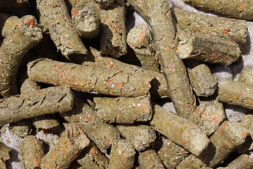 Transition alimentaire du cheval