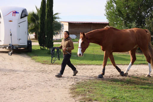 Diarrhée chez le cheval