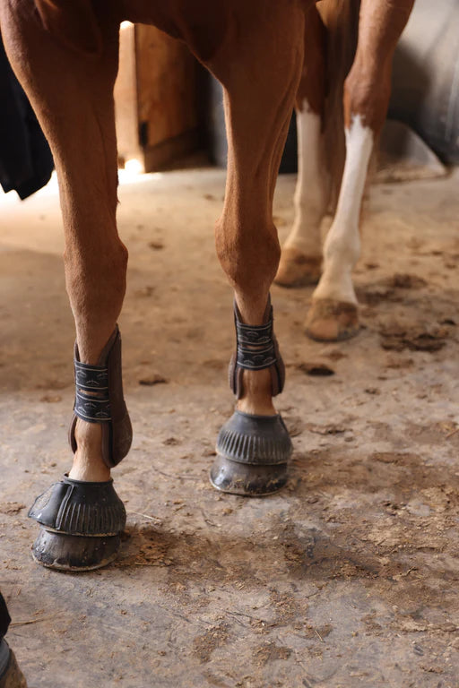 Fourbure chez le cheval — sabots