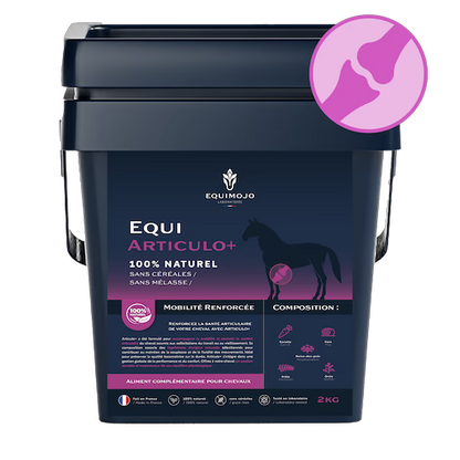 Equi-Articulo+