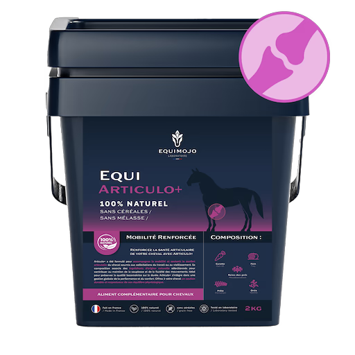Equi-Articulo+