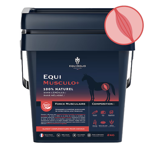 Equi-Musculo+