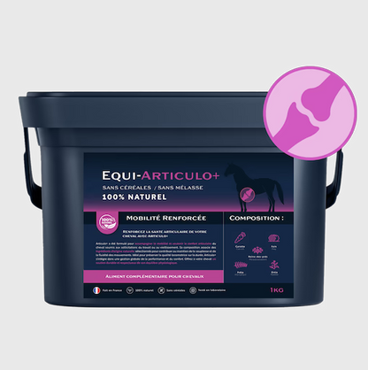 Equi-Articulo+
