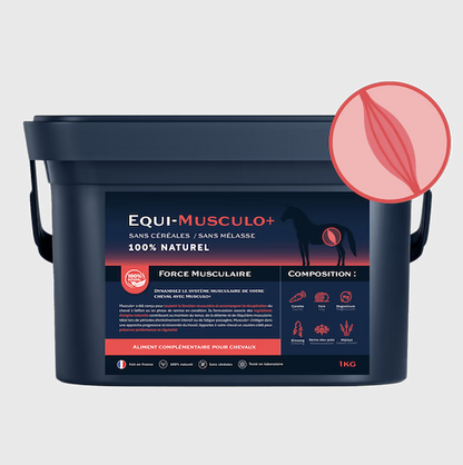 Equi-Musculo+